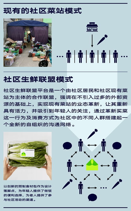 精彩 云 课 社会创新设计研究 周子书 王选政 宋协伟 设计学院